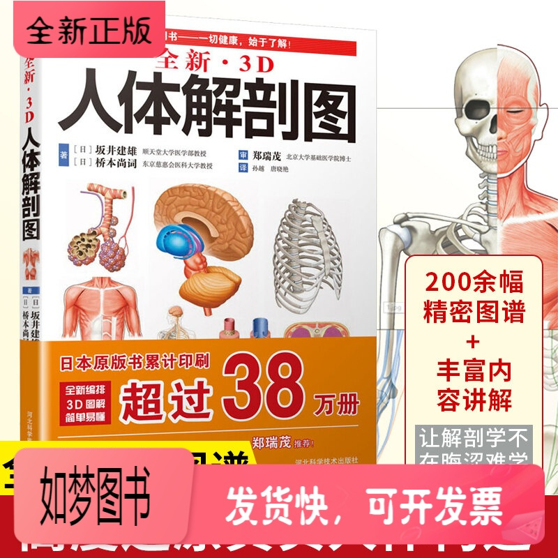 系統看護学講座 準拠 解剖生理学ワークブック 坂井 建雄 本 通販 Amazon