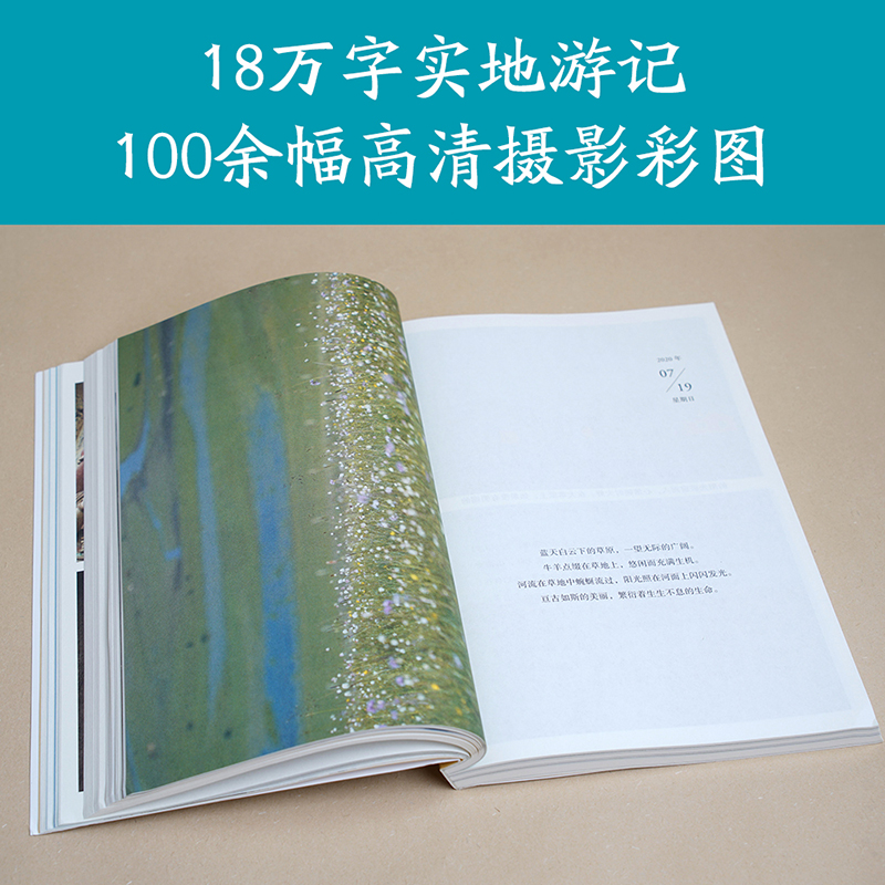 [正版]俞你同行,我从陇上走过 俞敏洪 生命在行走中开阔 100余幅摄影彩图 甘肃旅行游记 在古迹和山水间感知历史 果高清大图
