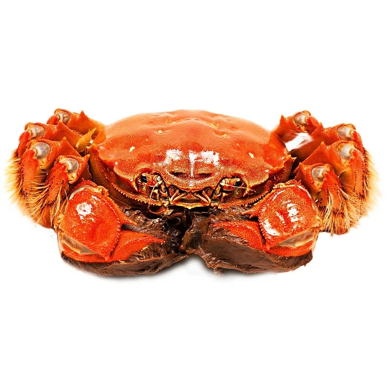 礼券 蟹园阳澄湖大闸蟹天玺2688型 公蟹5.0两/只 母蟹3.5两/只 4对8只装 大闸蟹券