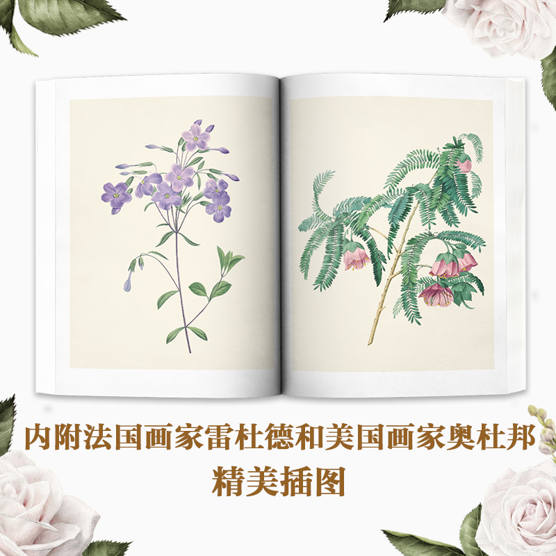 醉染图书以温柔的方式过一生 女子生活之美9787540248338高清大图