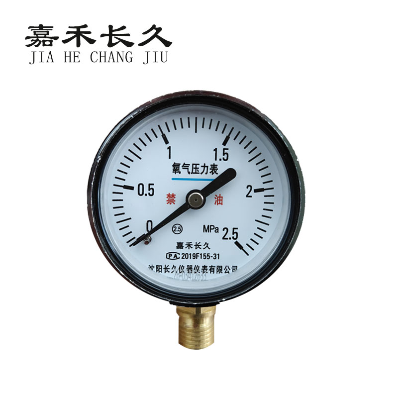 嘉禾长久 氧气压力表检测型 YO60 块 YO60，0-2.5Mpa