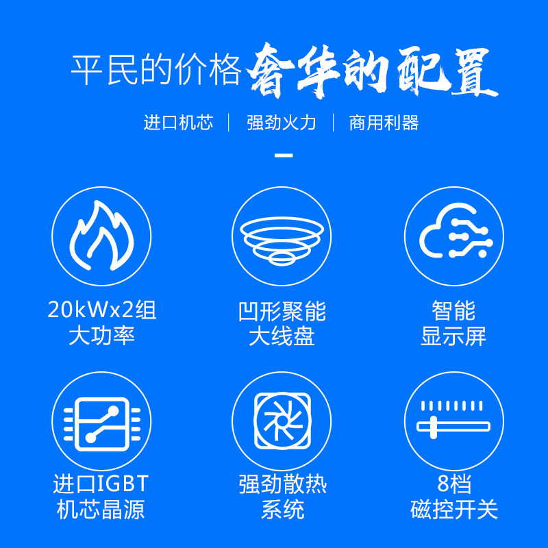 圣托(Shentop)双头电磁大锅灶 不锈钢双炒电磁灶 双头电磁大锅灶 DCB07
