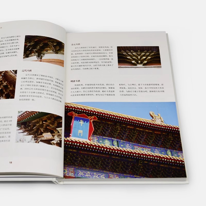 [正版]央视网图说中国建筑 空间的诗 中国建筑极简图解 10大要素 44种时代风格 39处经典建筑 400幅实景和示意高清大图