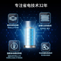 澳柯玛(AUCMA) 展示柜 SD-528 528升-26℃度商用大容量大型保鲜冰柜超市冷冻冰箱展示柜卧式保鲜