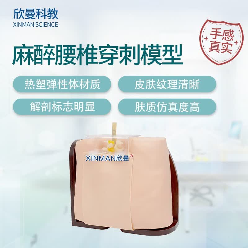 欣曼科教椎管内麻醉腰椎穿刺模型 脊椎穿刺模拟人XM-YC03