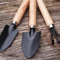 隆脉 花盆栽工具园艺套园艺三件套迷你 个