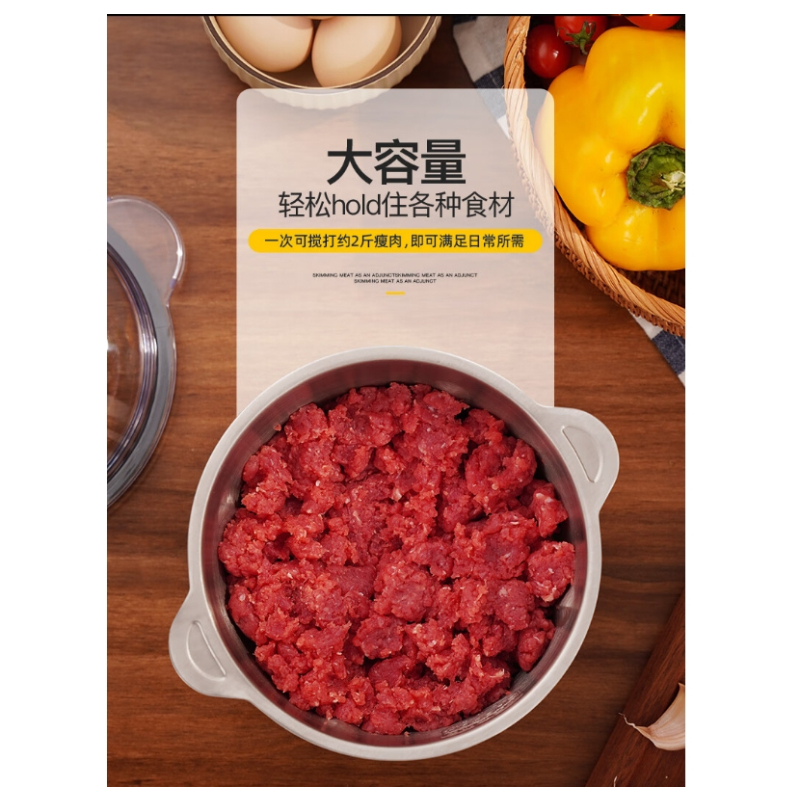 东菱 家用料理绞馅搅拌绞肉机DL-JR373/台