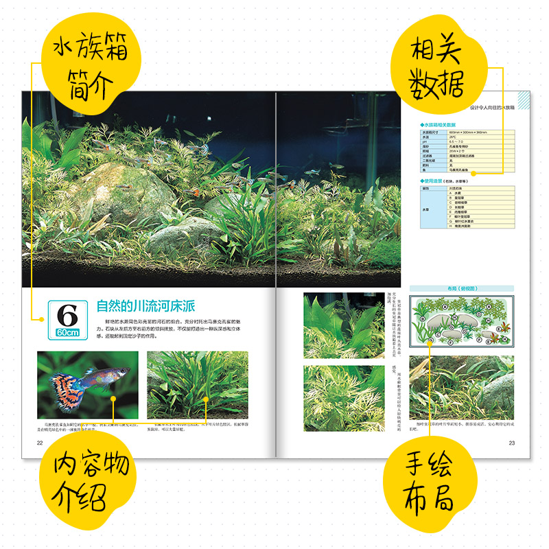 [正版]水草造景和热带观赏鱼饲养技术手册打造理想水族箱造景书籍 水草造景艺术热带观赏鱼水草造景养殖图鉴书籍高清大图