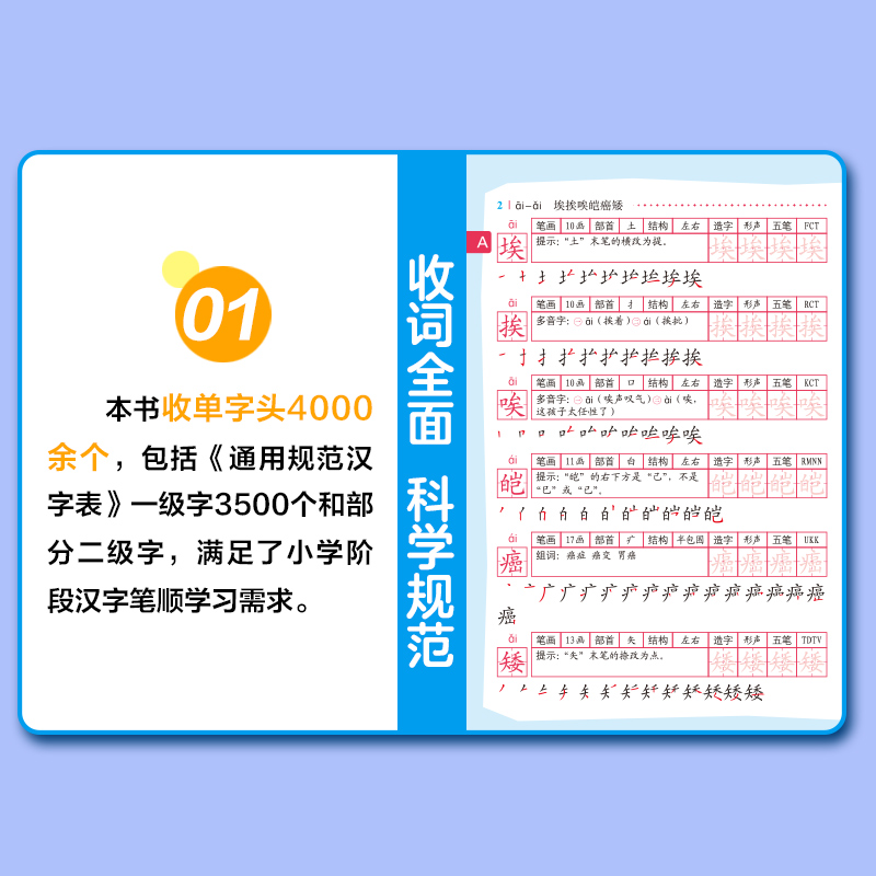 [正版]小学生多功能笔顺规范字典 笔画偏旁部首结构造字五笔全笔顺 1-6年级写字提示字谜歇后语趣味彩图字典词典识字天天高清大图