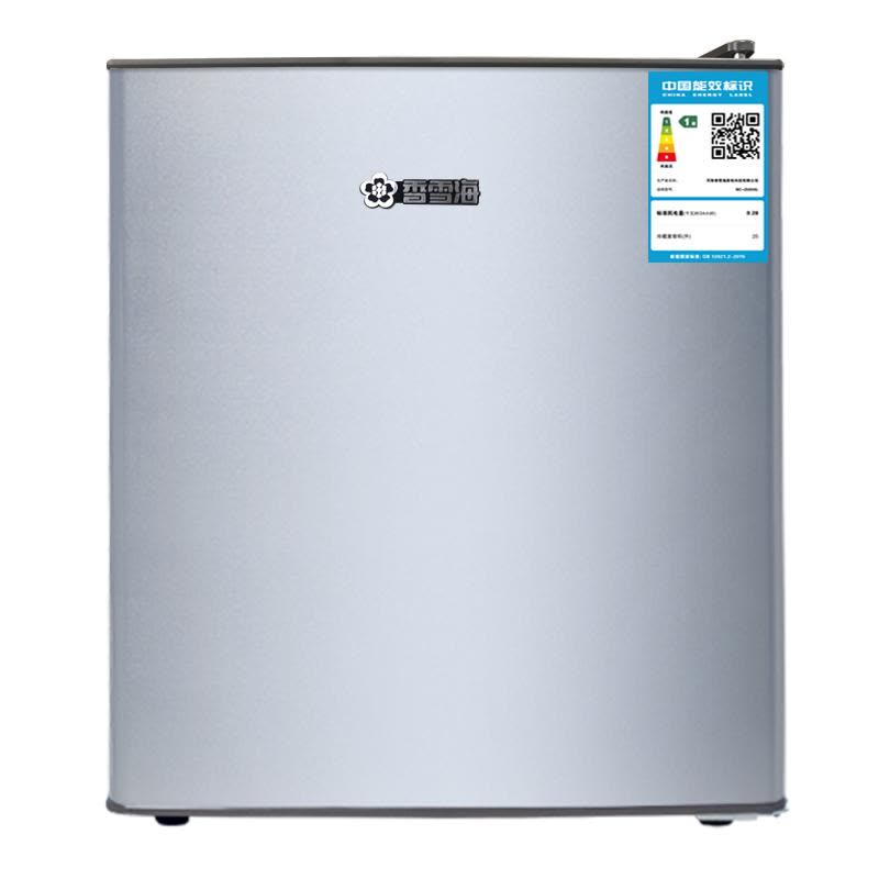 香雪海 小冰箱 单门全冷藏冰箱家用小型 一级能效电冰箱 迷你小型节能 租房 宿舍冰箱 29S108E 银色图片