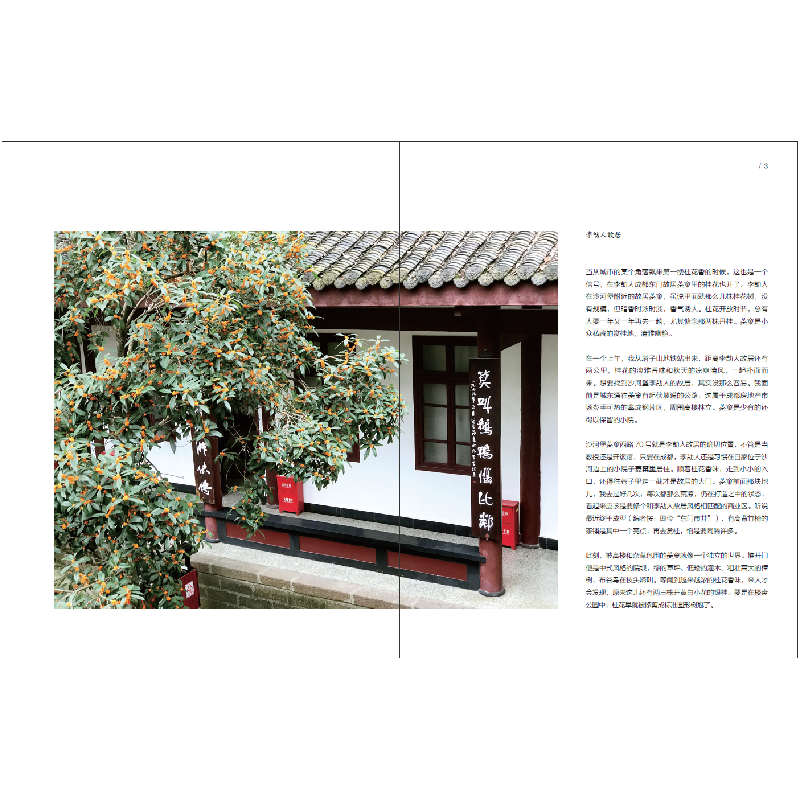 正版新书]乱逛谈资9787546425610高清大图