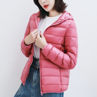 雅鹿冬装轻薄时尚羽绒服女2019新款休闲百搭短款连帽保暖羽绒外套