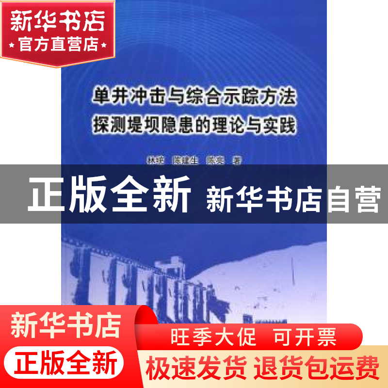 正版 单井冲击与综合示踪方法探测堤坝隐患的理论与实践 林统,陈高清大图