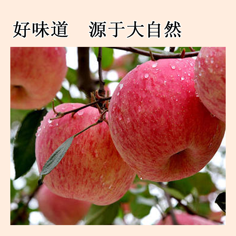 苹果脯138g/袋高清大图