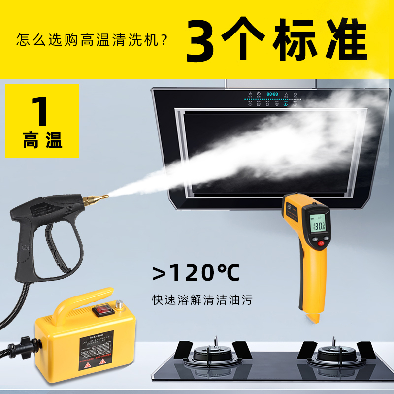 高压高温蒸汽清洁机小型家用纳丽雅(Naliya) 空调厨房油烟机油污清洗机洗车机 精装喷枪-黑色