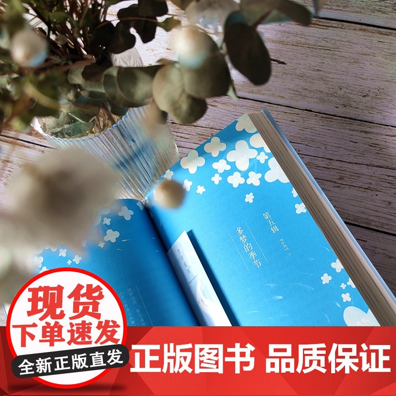 []等待绽放:一位高考母亲的陪考笔记(修订版) 中高考热点作家丁立梅老师的高考陪考日记全新修订陪考焦虑宝贵的高考经验高清大图