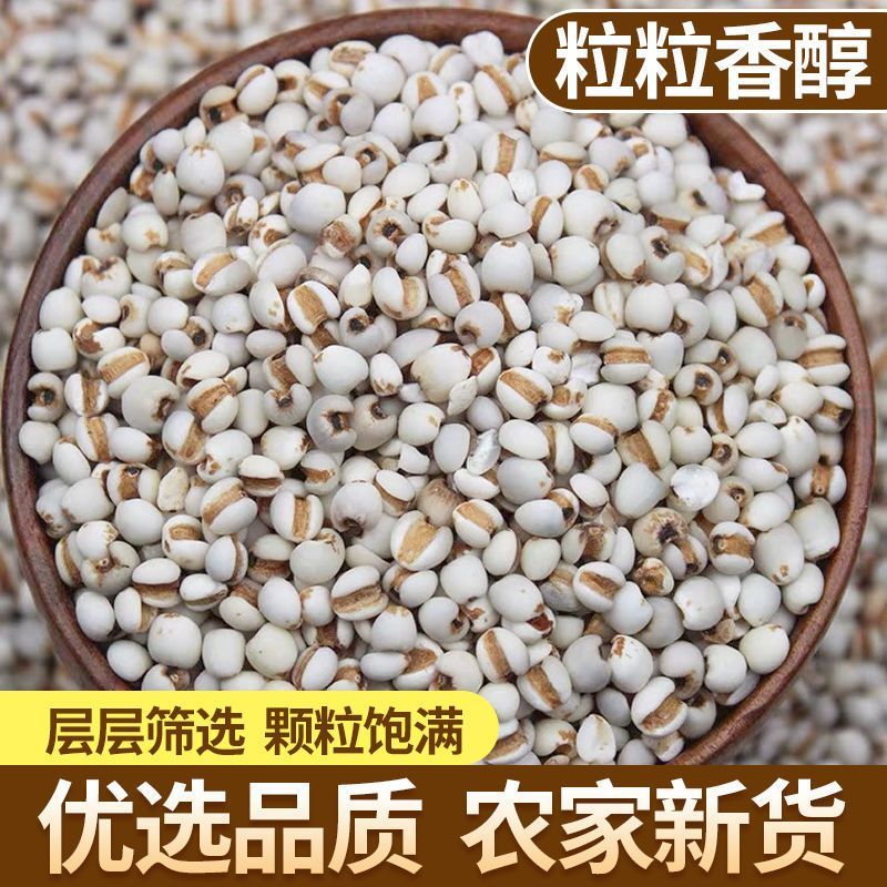 汾都香优选农家新货新鲜薏米仁500g高清大图