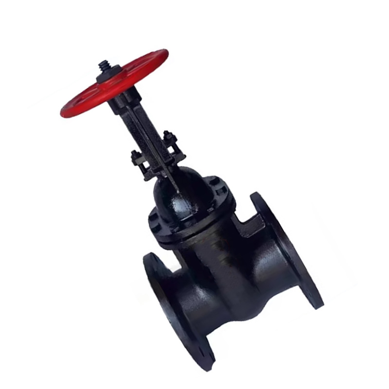 云型巨 铸铁法兰闸阀 Z45T-16明杆DN150 个高清大图