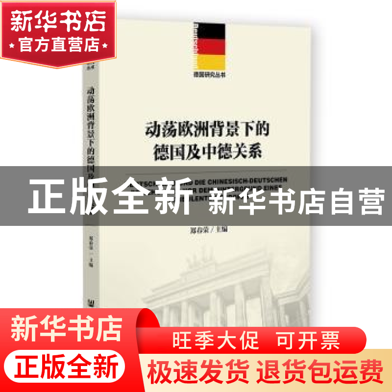 正版 动荡欧洲背景下的德国及中德关系 郑春荣 社会科学文献出版高清大图