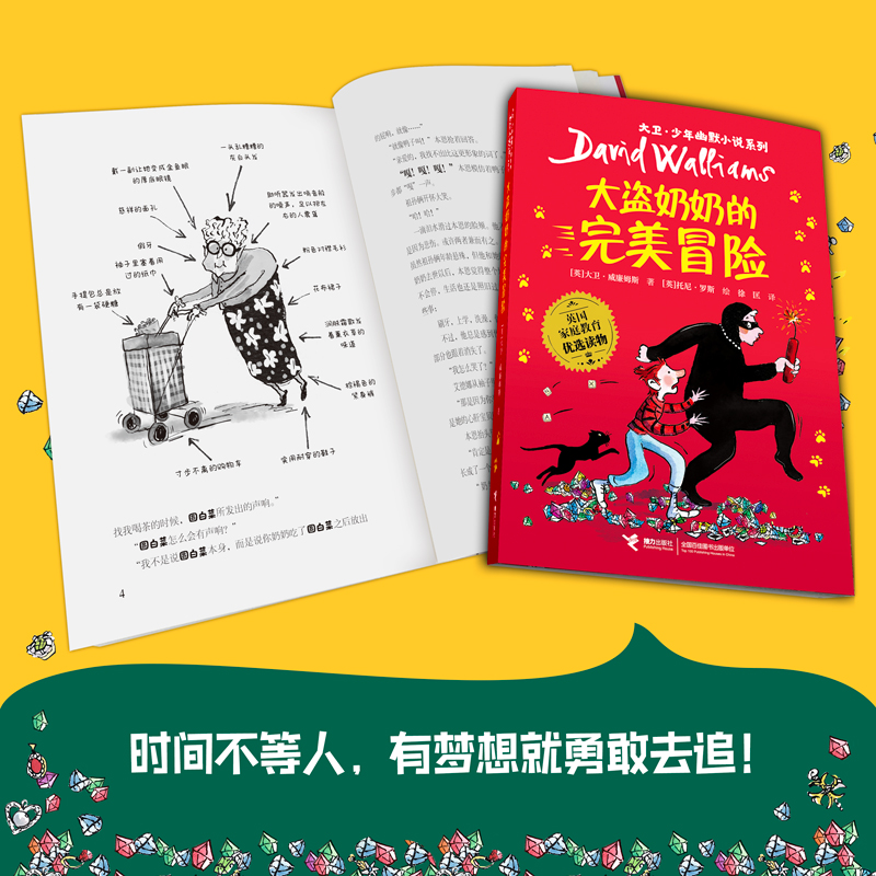 大盗奶奶的完美冒险 [正版]大卫·少年幽默小说系列 大盗奶奶的完美冒险 幽默治愈成长小说 8-14岁儿童文学书籍高清大图
