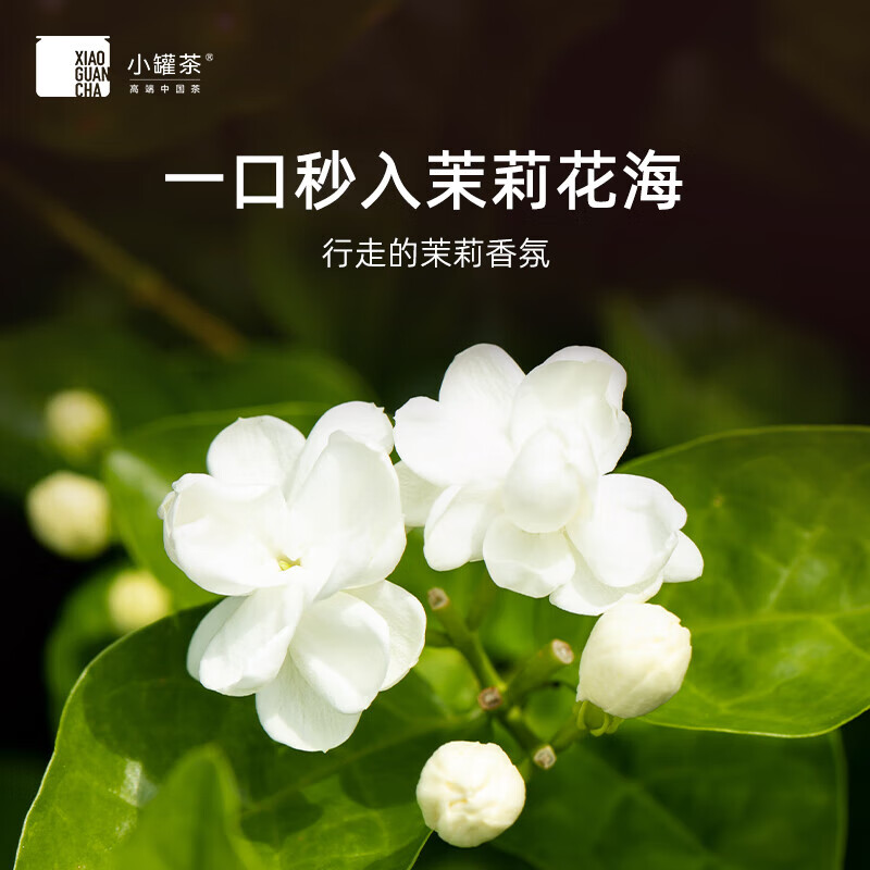 小罐茶 10罐装 茉莉花茶(经典)高清大图