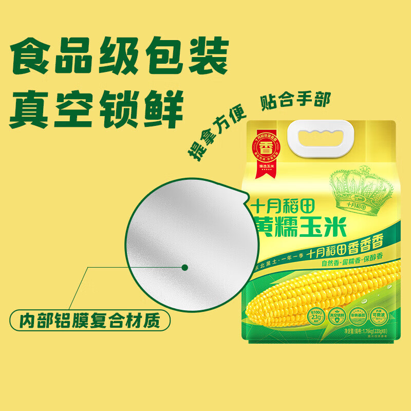 十月稻田黄糯玉米 3.52斤(220g*8根) 东北玉米棒甜糯低脂新鲜真空装早餐苞米高清大图