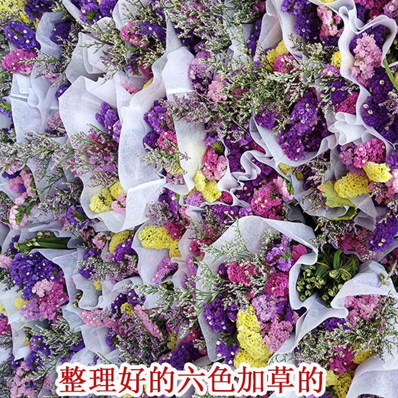 干花勿忘我云南昆明基地满天星干花配材装饰花束勿忘我永生花|勿忘我浅紫色 勿忘我50支