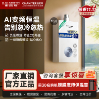 A.O.史密斯佳尼特 16升燃气热水器 不锈钢换热器8年包换 恒温大水量 抗风防冻 JSQ31-TC1