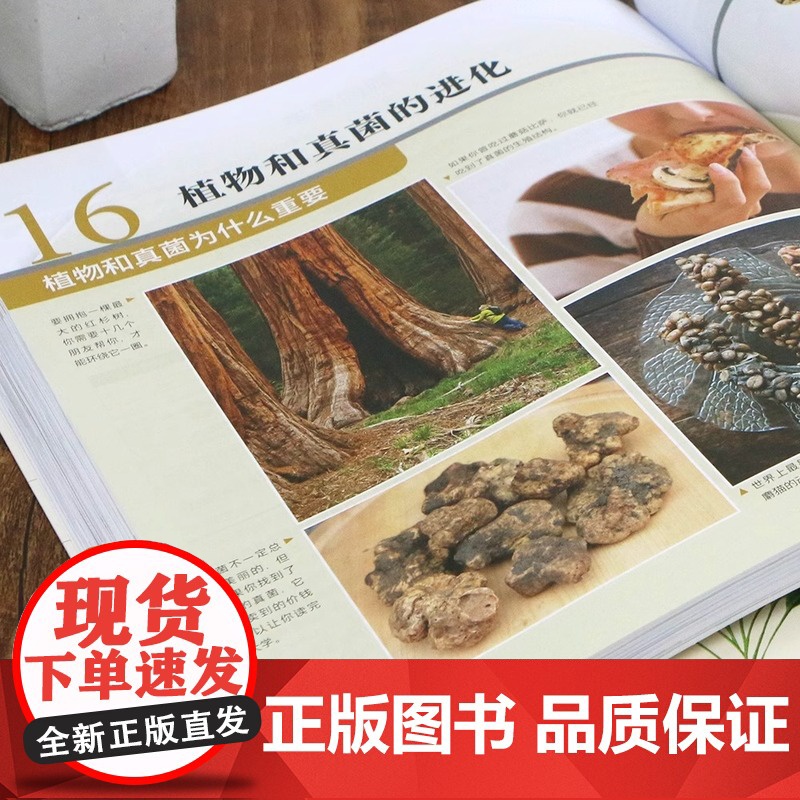 坎贝尔基础生物学 坎贝尔基础生物学 写给非生物学专业学生的科普读物 生命进化遗传 大众通识 教育 科学书籍高清大图