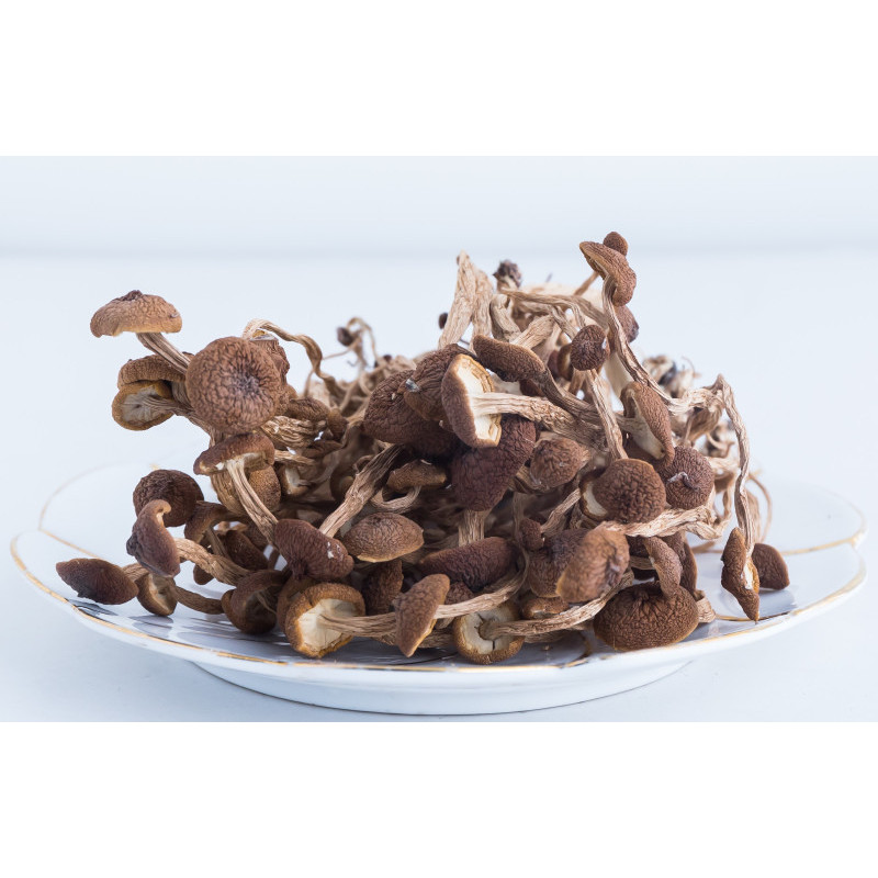 山海小将 特级茶树菇250g