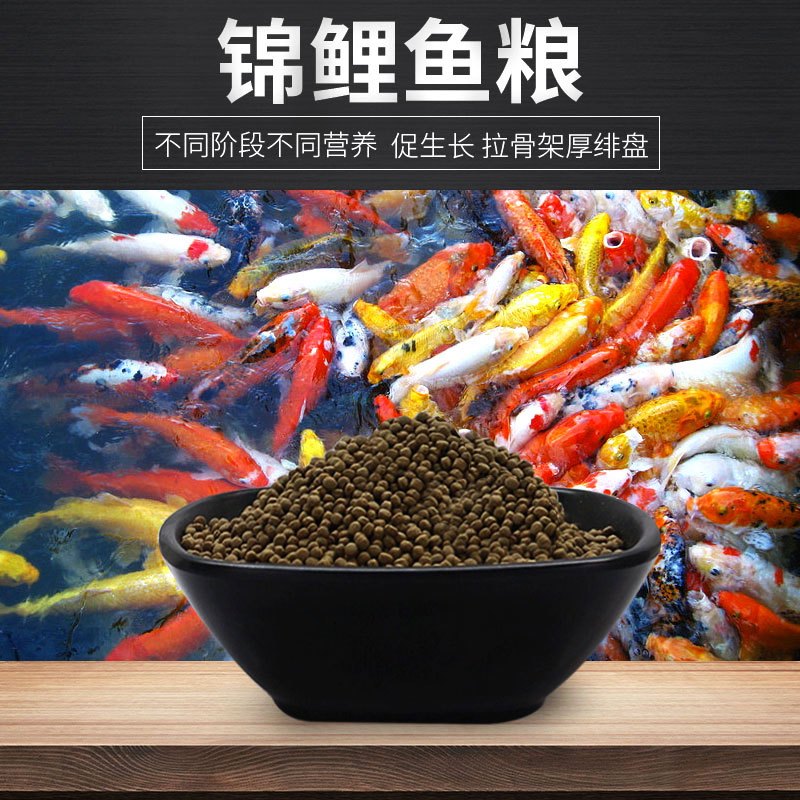 锦鲤饲料鱼食不浑水鱼食观赏鱼粮增色增体大中小型颗粒小金鱼饲料高清大图