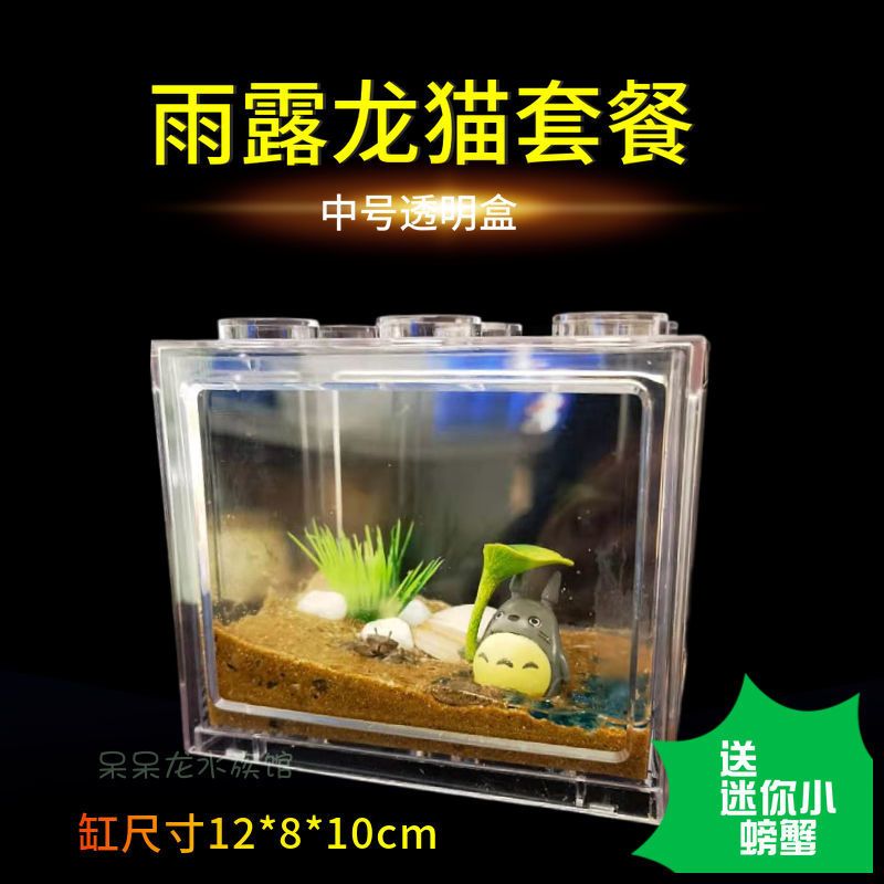 辣椒蟹观赏蟹小螃蟹饲养套餐创意微景观节日礼物透明缸生态鱼缸 小号积木盒透明裸盒+送2小螃蟹