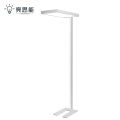 亮思能 LED落地灯 台灯 护眼立式台灯 LA-D800 台