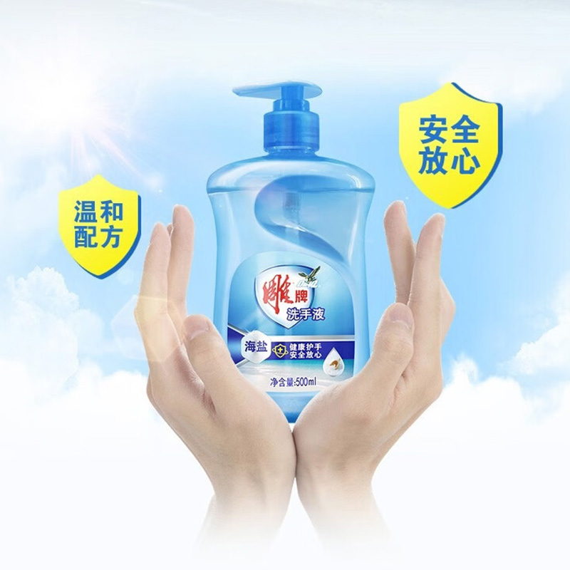 雕牌洗手液温和护手亲肤洁净抑菌清香海盐500ml*2瓶(包装随机)高清大图