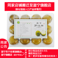 滋宁 冻干罗汉果低温脱水广西桂林特产12个装 泡水喝茶饮