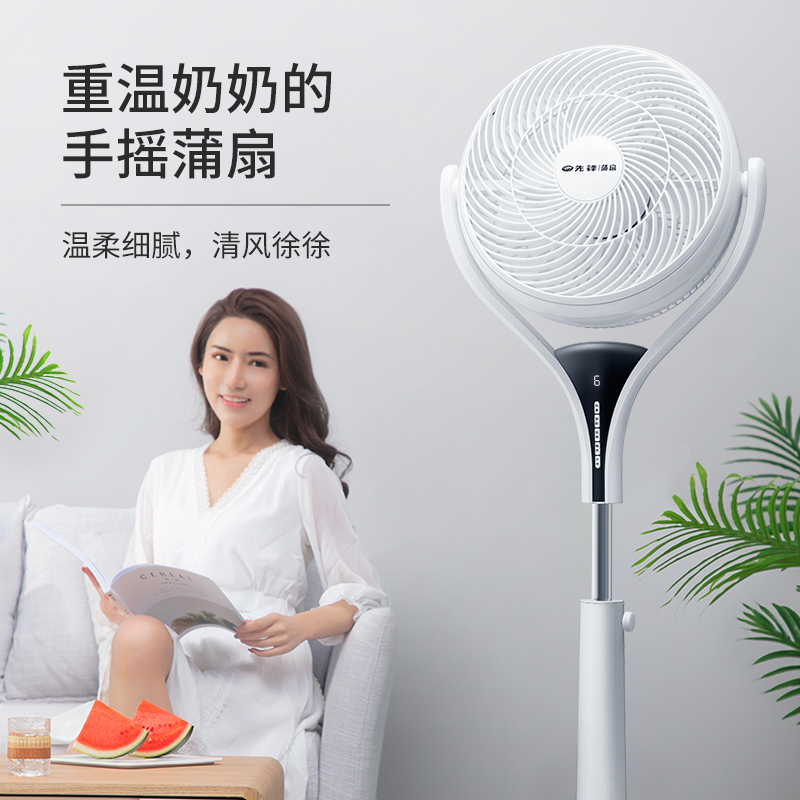 先锋(SINGFUN)蒲扇电风扇家用智能静音遥控空气循环扇定时9叶蝉翼风扇 DP1802
