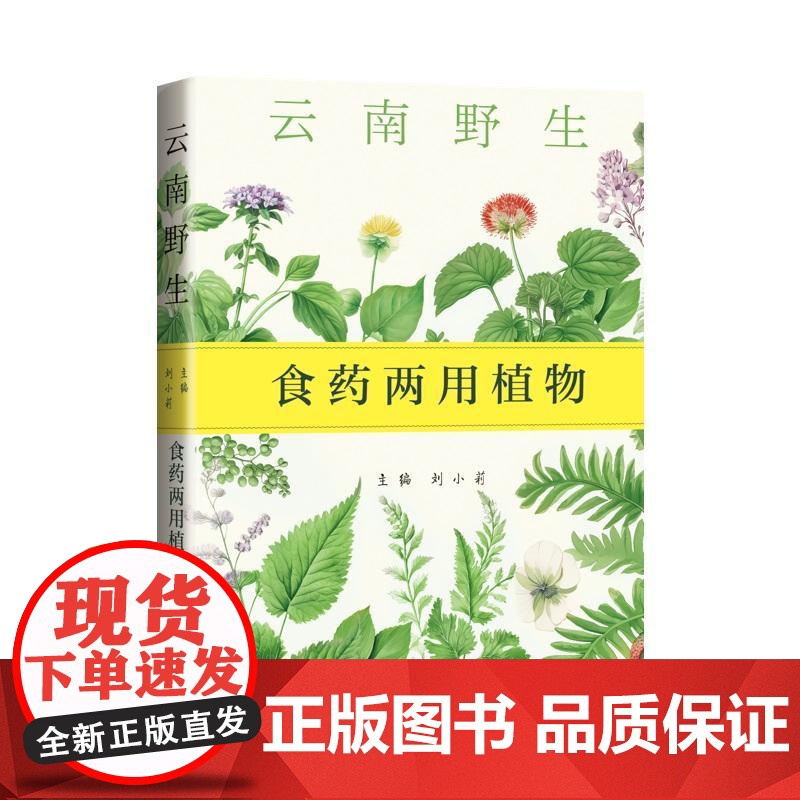 云南野生食药两用植物 刘小莉上海科学技术出版社药食同源云南常见野菜食用药用资料梳理药物资源科普百科中医药高清大图
