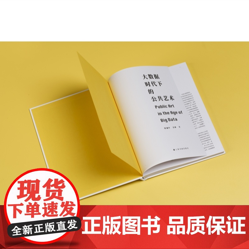 大数据时代下的公共艺术 数据处理应用研究李谦升汪单著作上海书画出版社艺术理论高清大图