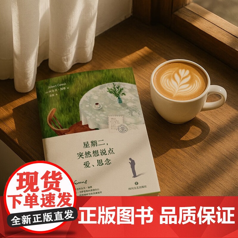 星期二 突然想说点爱 思念 阿尔贝·加缪 著 外国文学高清大图