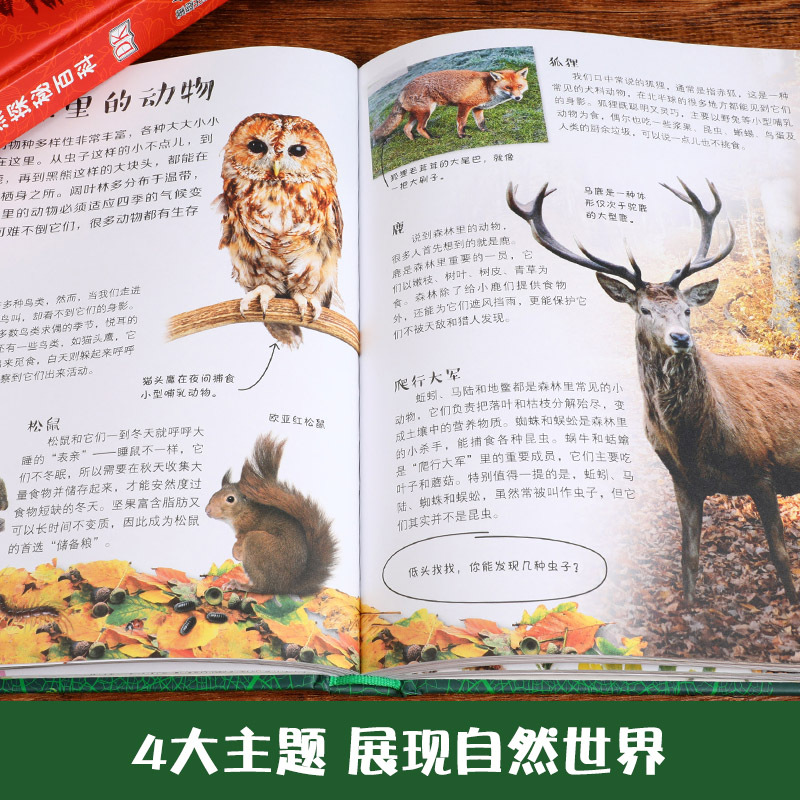 DK儿童自然探索百科全书 [正版]dk儿童自然探索百科全书3-6-9-12岁儿童解读自然揭秘系列中小学生青少年自然科学启