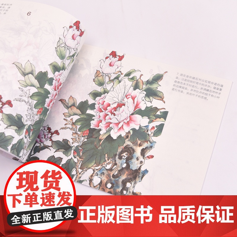 工笔入门教程 大字大图版 正统工笔花鸟技法入门基础教程书中老年人学国画中国工笔画稿白描勾线上色涂色花鸟技法入门临摹高清大图
