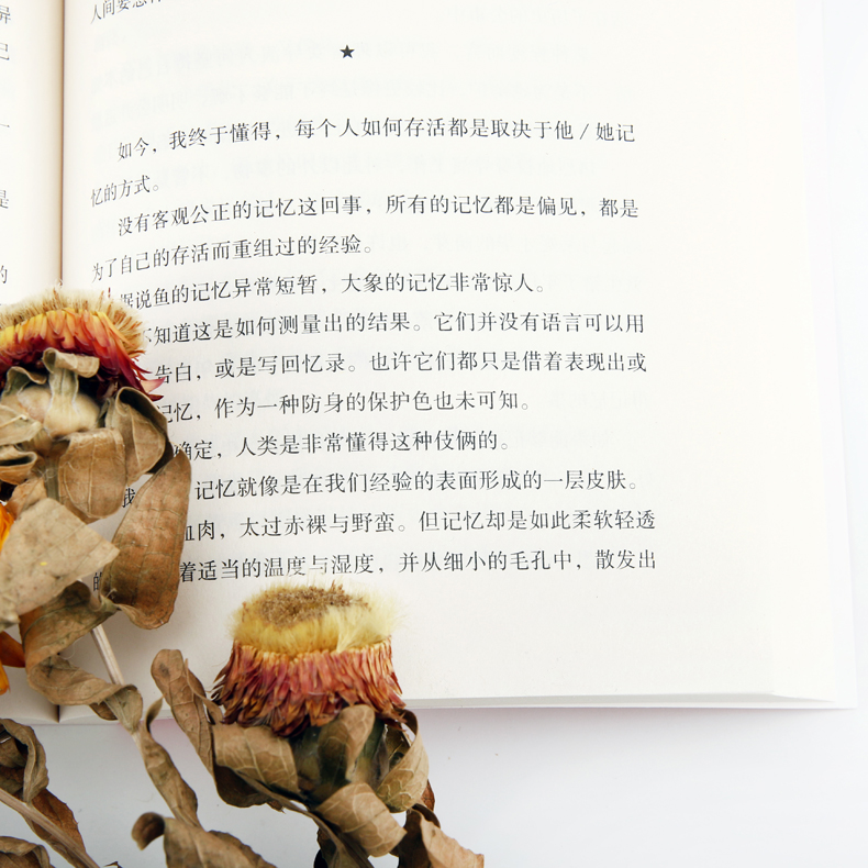 [正版]《断代》郭强生著作,以推理小说的手法展开,由三条看似关联薄弱的叙事线入手。高清大图