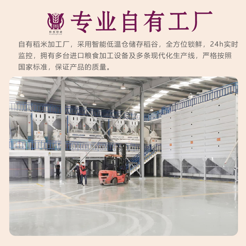 桂鼎 福相迎-金丝苗米5kg/ 袋 真空包装香软粘糯新鲜大米