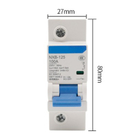 LBYZY NXB微型断路器 小型过载空气开关 NXB-125-3P 100A