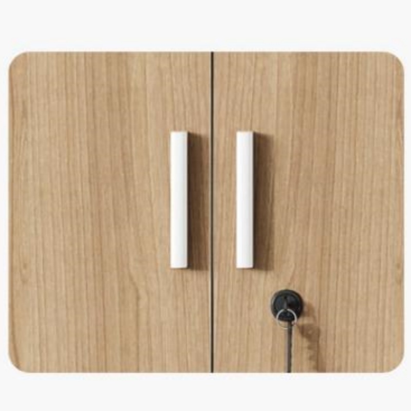 文件柜两门 台高清大图