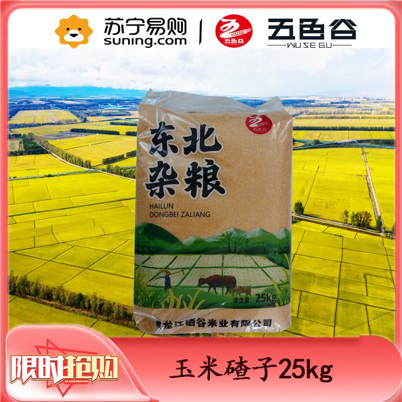 五色谷玉米碴子图片