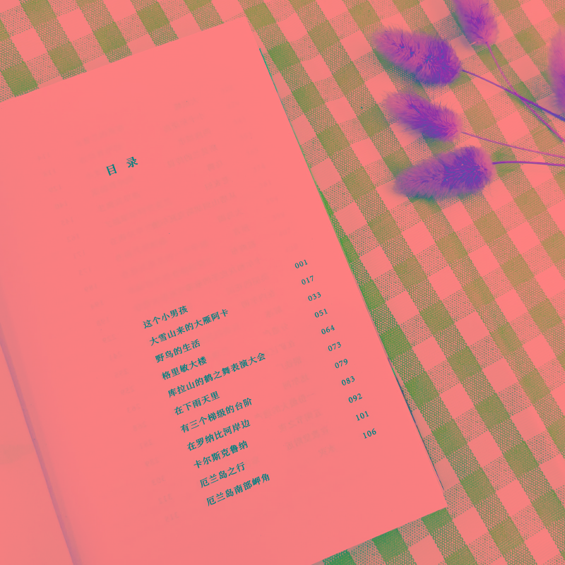 【M】骑鹅旅行记(全译本)-9787559454577