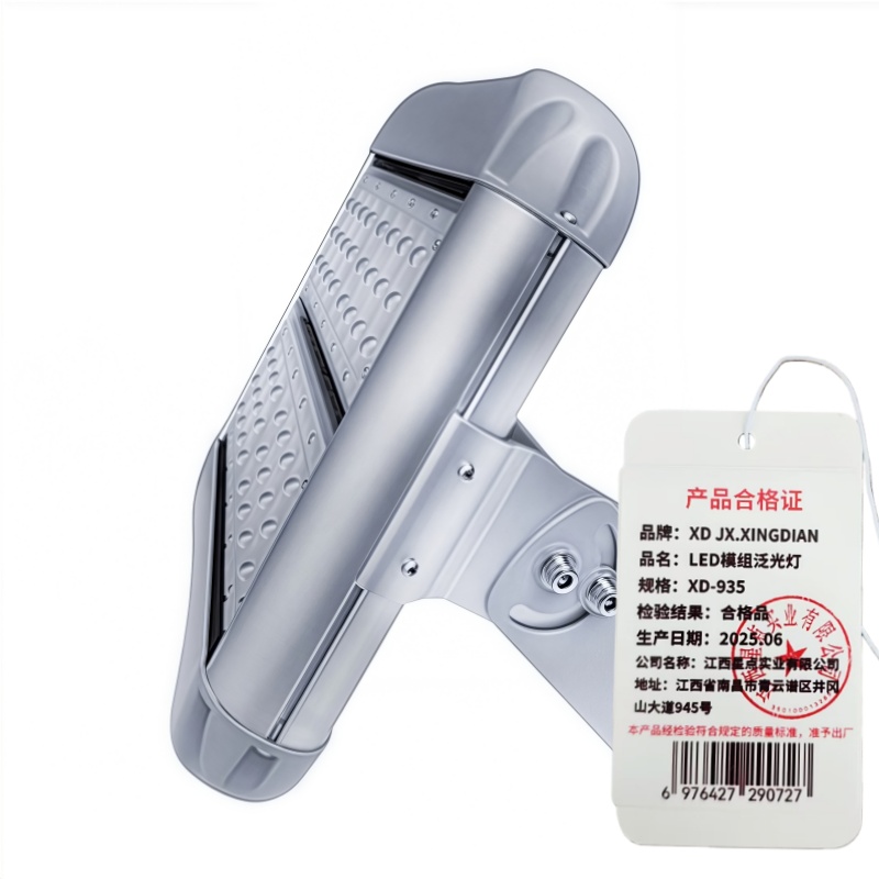 XD JX.XINGDIANX LED模组泛光灯D-935 100W高清大图