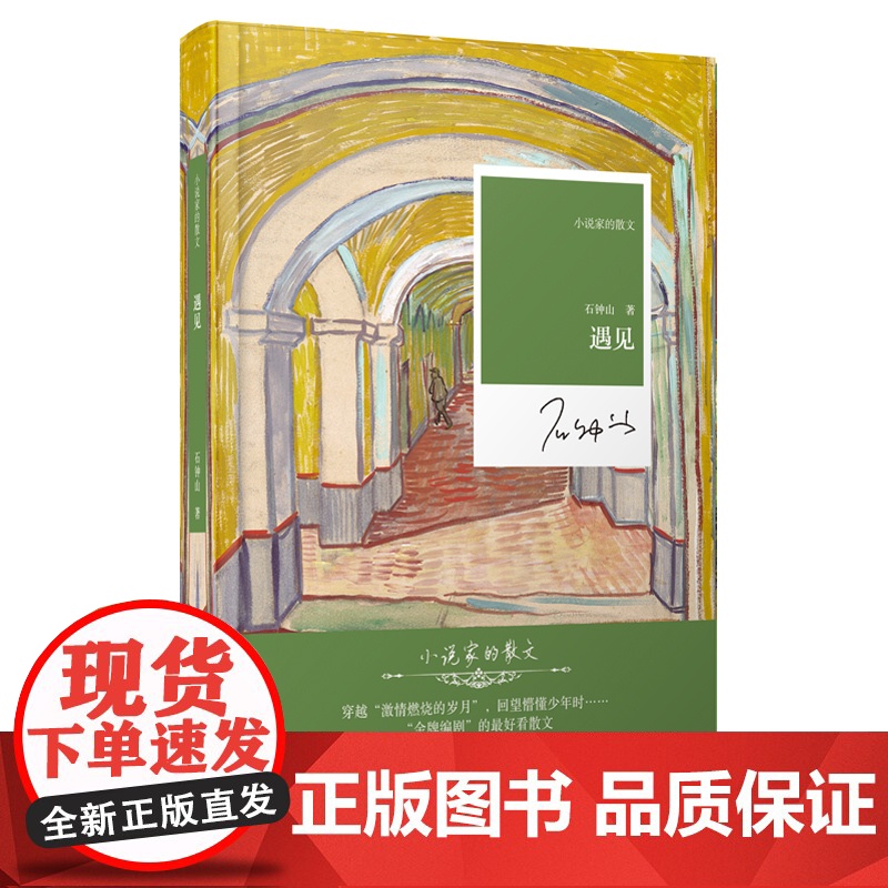 小说家的散文:遇见高清大图