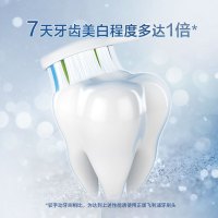 飞利浦(Philips)牙刷头 标准型4支装+迷你型2支装清洁刷头 适配HX9362/HX9302等 HX6066/69